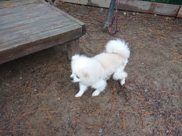f:id:roukenhome-ann:20181110143017j:plain