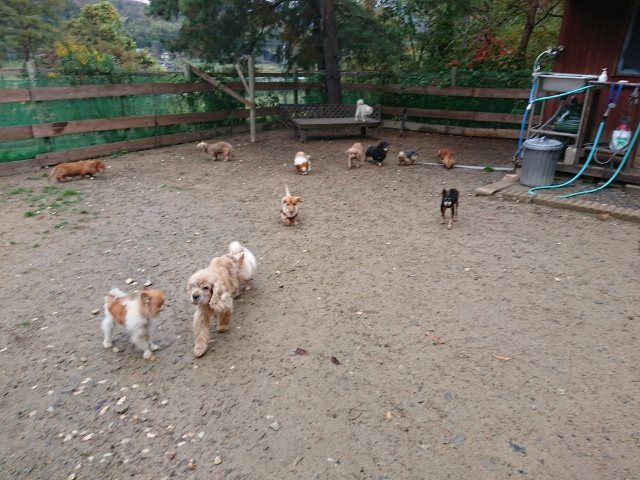 f:id:roukenhome-ann:20181110143046j:plain