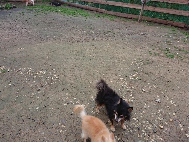 f:id:roukenhome-ann:20181110143051j:plain