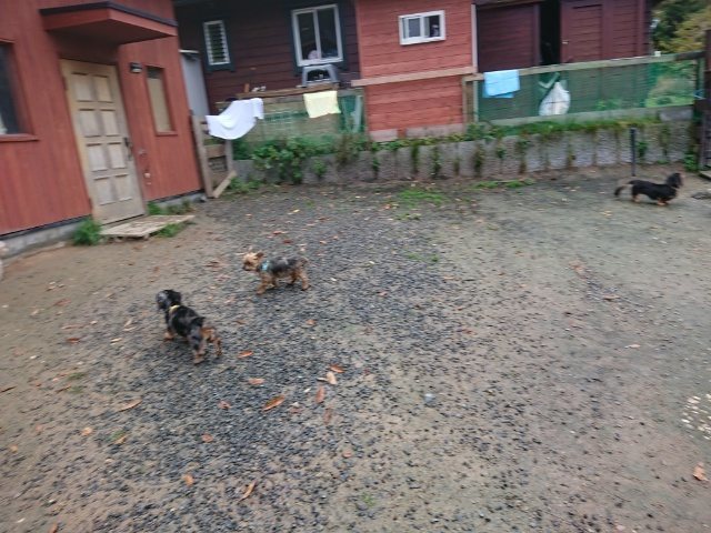 f:id:roukenhome-ann:20181110143055j:plain