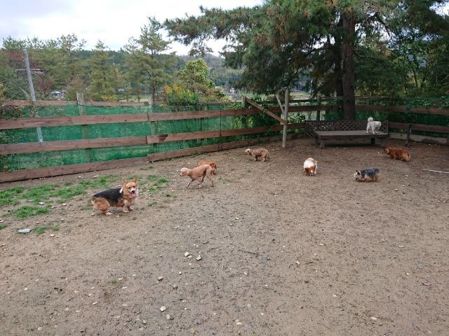 f:id:roukenhome-ann:20181110143100j:plain