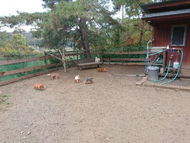 f:id:roukenhome-ann:20181110143105j:plain