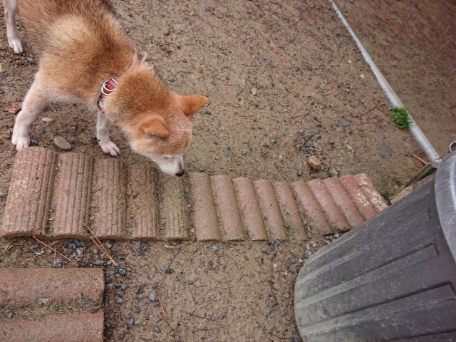 f:id:roukenhome-ann:20181110143140j:plain