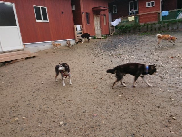 f:id:roukenhome-ann:20181110144456j:plain f:id:roukenhome-ann:20181110144456j:plain