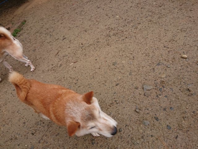 f:id:roukenhome-ann:20181110144520j:plain f:id:roukenhome-ann:20181110144520j:plain
