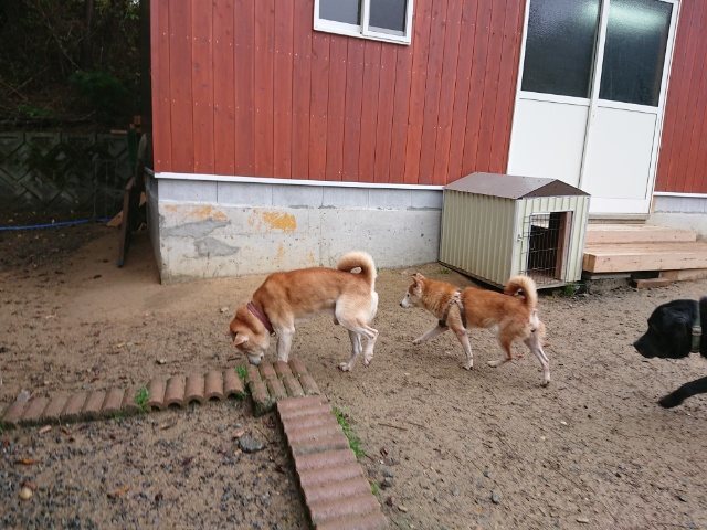 f:id:roukenhome-ann:20181110144536j:plain f:id:roukenhome-ann:20181110144536j:plain