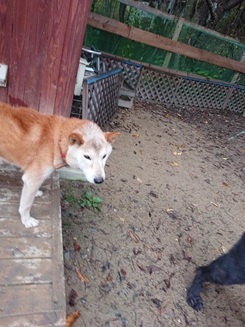 f:id:roukenhome-ann:20181110144604j:plain f:id:roukenhome-ann:20181110144604j:plain