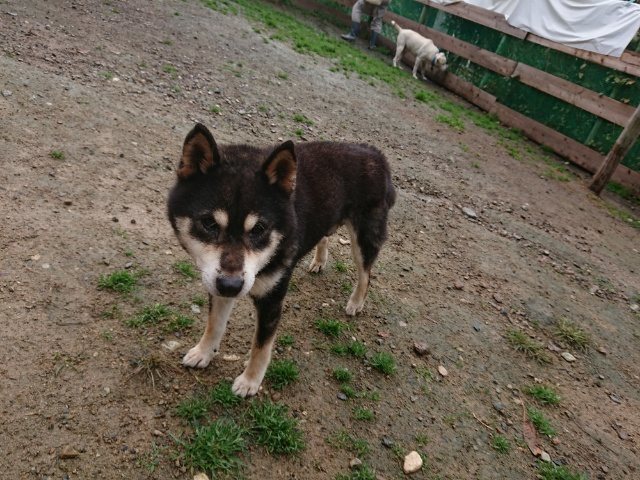 f:id:roukenhome-ann:20181110144714j:plain f:id:roukenhome-ann:20181110144714j:plain