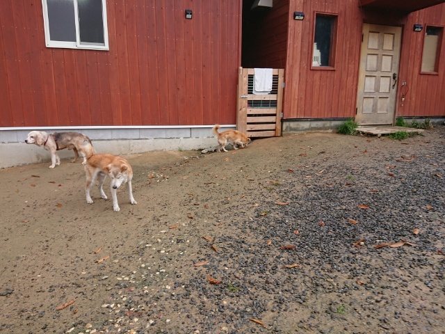 f:id:roukenhome-ann:20181110144733j:plain f:id:roukenhome-ann:20181110144733j:plain