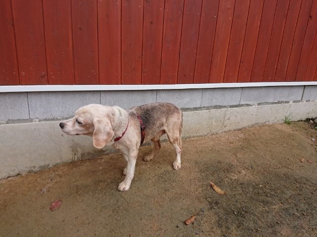 f:id:roukenhome-ann:20181110144802j:plain f:id:roukenhome-ann:20181110144802j:plain