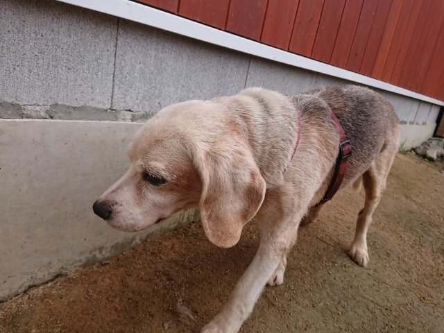 f:id:roukenhome-ann:20181110144812j:plain f:id:roukenhome-ann:20181110144812j:plain