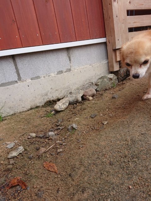 f:id:roukenhome-ann:20181110144822j:plain f:id:roukenhome-ann:20181110144822j:plain