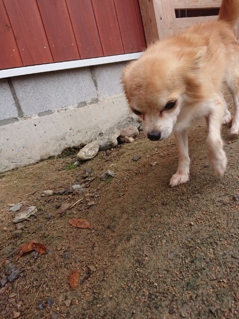 f:id:roukenhome-ann:20181110144827j:plain f:id:roukenhome-ann:20181110144827j:plain