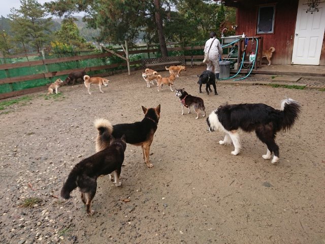 f:id:roukenhome-ann:20181110144842j:plain f:id:roukenhome-ann:20181110144842j:plain