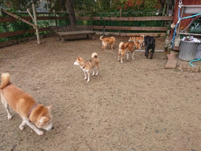 f:id:roukenhome-ann:20181110144908j:plain f:id:roukenhome-ann:20181110144908j:plain