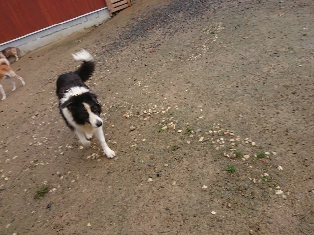 f:id:roukenhome-ann:20181110144913j:plain f:id:roukenhome-ann:20181110144913j:plain