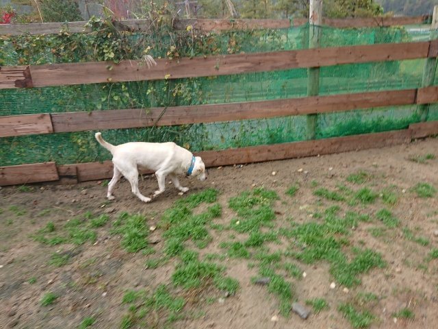 f:id:roukenhome-ann:20181110144931j:plain f:id:roukenhome-ann:20181110144931j:plain
