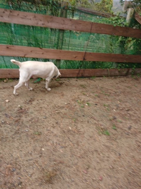 f:id:roukenhome-ann:20181110144941j:plain f:id:roukenhome-ann:20181110144941j:plain