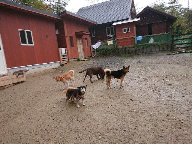 f:id:roukenhome-ann:20181110144951j:plain f:id:roukenhome-ann:20181110144951j:plain