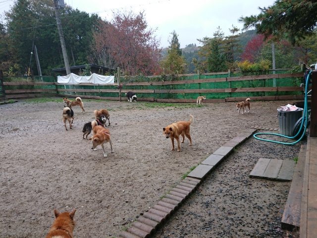 f:id:roukenhome-ann:20181110145130j:plain f:id:roukenhome-ann:20181110145130j:plain