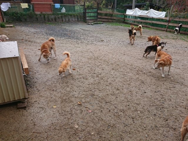 f:id:roukenhome-ann:20181110145140j:plain f:id:roukenhome-ann:20181110145140j:plain