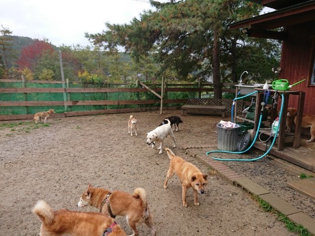 f:id:roukenhome-ann:20181110145146j:plain f:id:roukenhome-ann:20181110145146j:plain