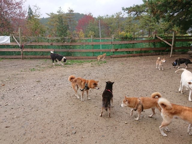 f:id:roukenhome-ann:20181110145151j:plain f:id:roukenhome-ann:20181110145151j:plain