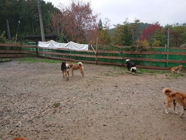 f:id:roukenhome-ann:20181110145156j:plain f:id:roukenhome-ann:20181110145156j:plain