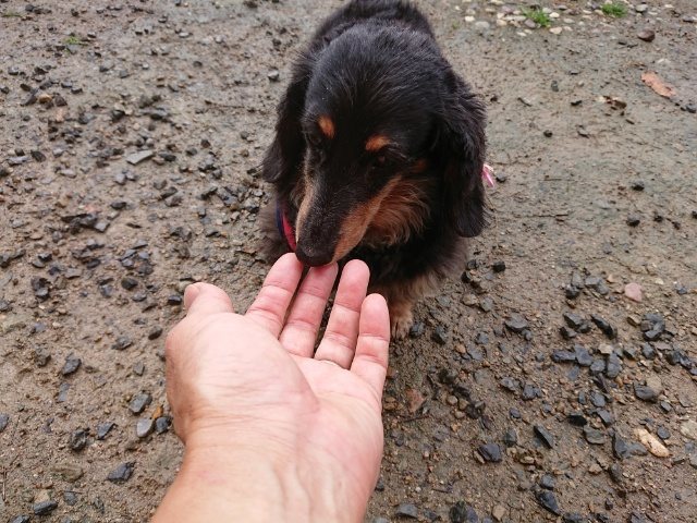 f:id:roukenhome-ann:20181110145228j:plain f:id:roukenhome-ann:20181110145228j:plain