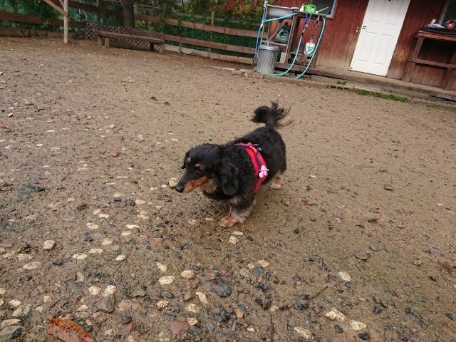 f:id:roukenhome-ann:20181110145327j:plain f:id:roukenhome-ann:20181110145327j:plain