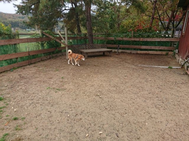 f:id:roukenhome-ann:20181110145455j:plain f:id:roukenhome-ann:20181110145455j:plain