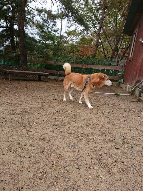 f:id:roukenhome-ann:20181110145502j:plain f:id:roukenhome-ann:20181110145502j:plain