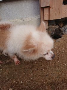 f:id:roukenhome-ann:20181111074503j:plain