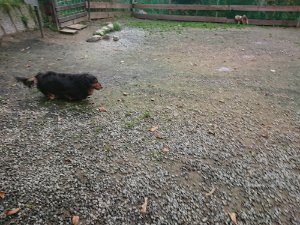 f:id:roukenhome-ann:20181111074527j:plain