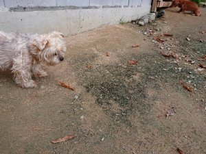f:id:roukenhome-ann:20181111074541j:plain