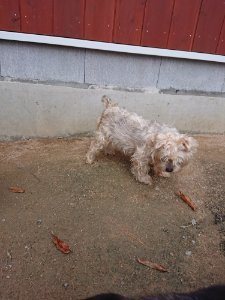 f:id:roukenhome-ann:20181111074544j:plain