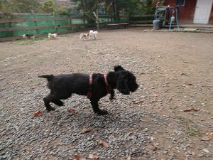 f:id:roukenhome-ann:20181111074548j:plain