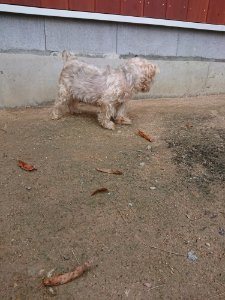 f:id:roukenhome-ann:20181111074606j:plain