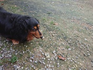 f:id:roukenhome-ann:20181111074616j:plain