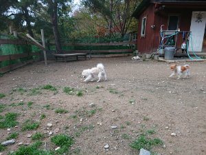 f:id:roukenhome-ann:20181111074623j:plain