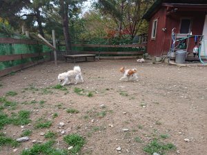 f:id:roukenhome-ann:20181111074630j:plain