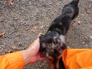 f:id:roukenhome-ann:20181111074637j:plain