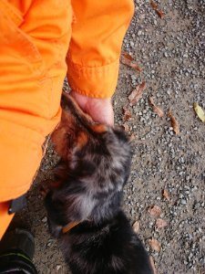 f:id:roukenhome-ann:20181111074641j:plain