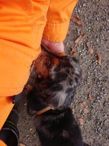 f:id:roukenhome-ann:20181111074647j:plain