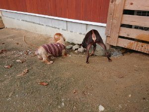 f:id:roukenhome-ann:20181111074651j:plain