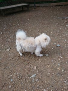 f:id:roukenhome-ann:20181111074654j:plain