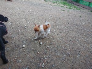 f:id:roukenhome-ann:20181111074705j:plain