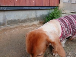 f:id:roukenhome-ann:20181111074712j:plain