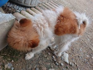 f:id:roukenhome-ann:20181111074723j:plain