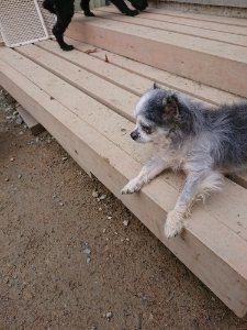 f:id:roukenhome-ann:20181111074758j:plain